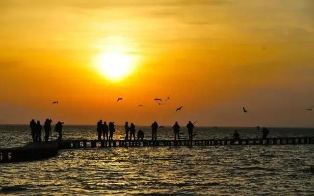 摘抄小句子(图4)