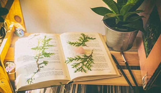 《平凡的世界》最经典10句话，藏着路遥一生的智慧！(图12)