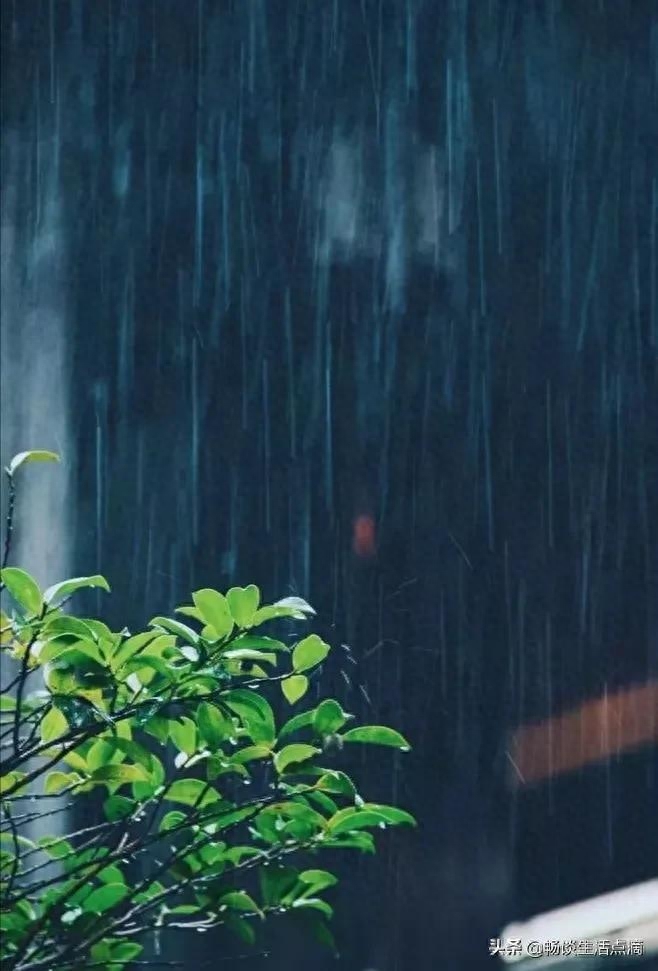 天气预报：2022年春天是冷是热？“一九”能预兆！看老祖宗的谚语(图1)