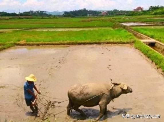 天气预报：大年初四，立春节气！天气晴朗啥预兆？看谚语咋说(图3)