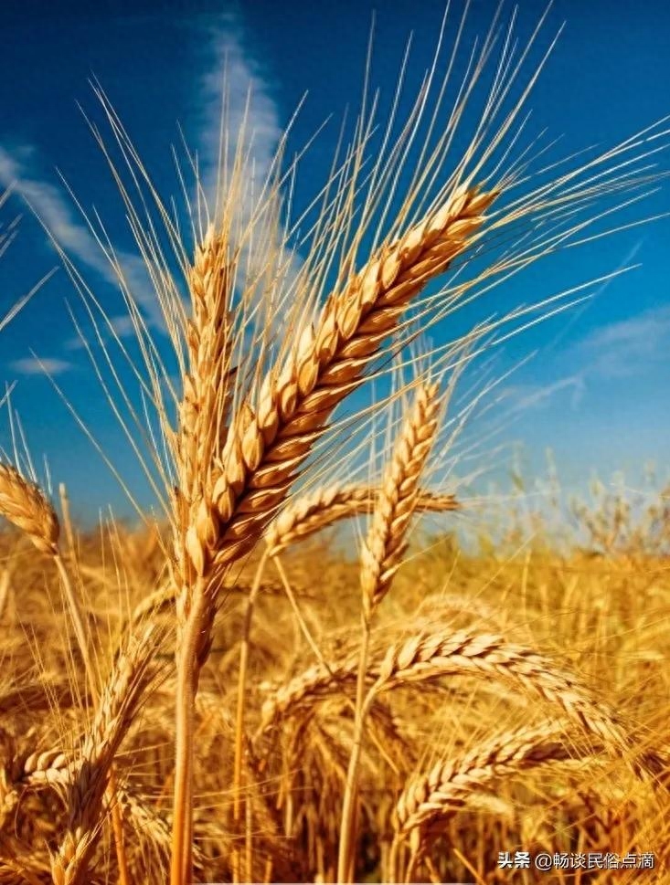 天气预报：大年初四，立春节气！天气晴朗啥预兆？看谚语咋说(图4)