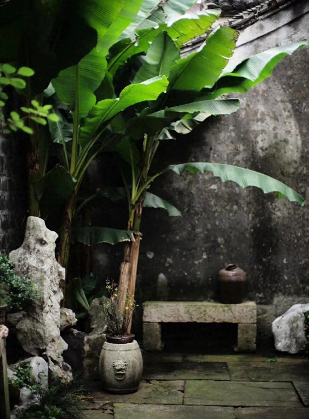 散文：离别七月，重逢八月，总是令人惆怅(图3)