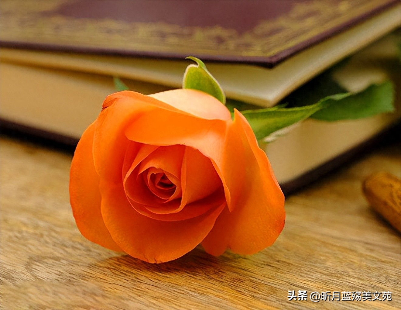 六月再见，七月你好，心若从容，时光静美(图2)