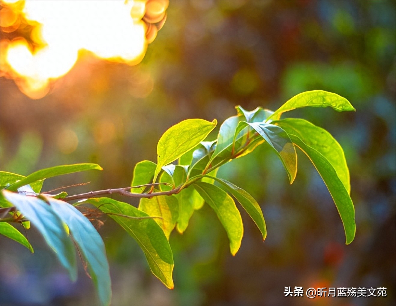 六月再见，七月你好，心若从容，时光静美(图5)