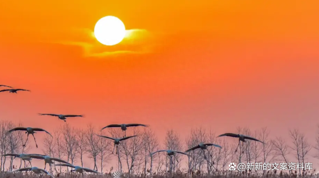 致自己要悄悄努力的励志早安语录，走心的人生金句，现实精辟(图2)