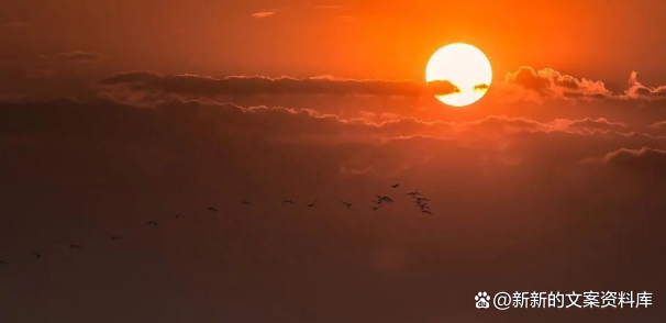致自己要悄悄努力的励志早安语录，走心的人生金句，现实精辟(图4)