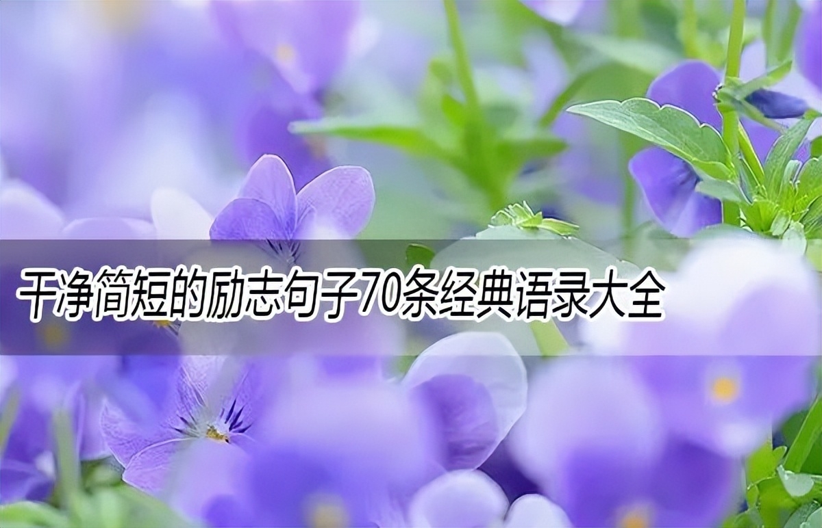 干净简短的励志句子70条经典语录大全(图1)