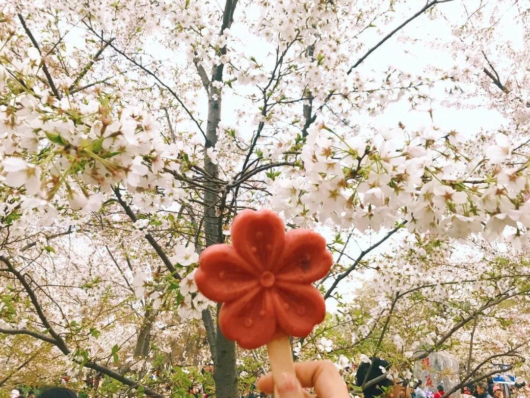 5句“不生病”的养生金句，句句都是名中医总结！点醒无数人(图2)