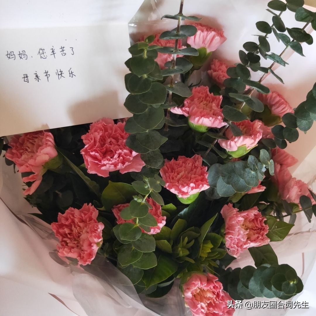 母亲节文案｜我随我妈 貌美如花(图1)