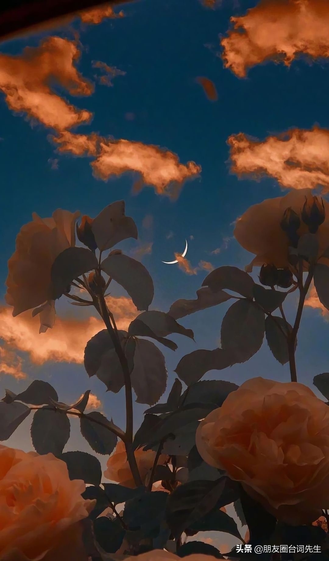 母亲节文案｜我随我妈 貌美如花(图2)