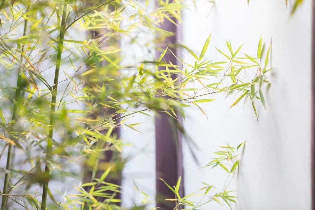 读《唐诗三百首》，你一定要背下这100句千古名句(图7)