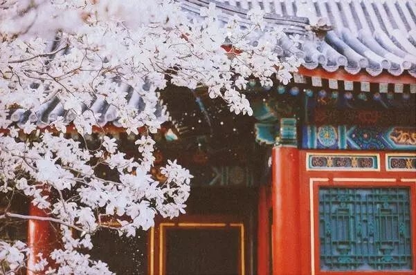 「鉴赏56」古诗中的200句经典句子，背下来，你就是别人梦中的王(图1)