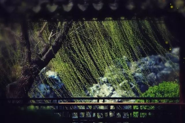 「鉴赏56」古诗中的200句经典句子，背下来，你就是别人梦中的王(图6)