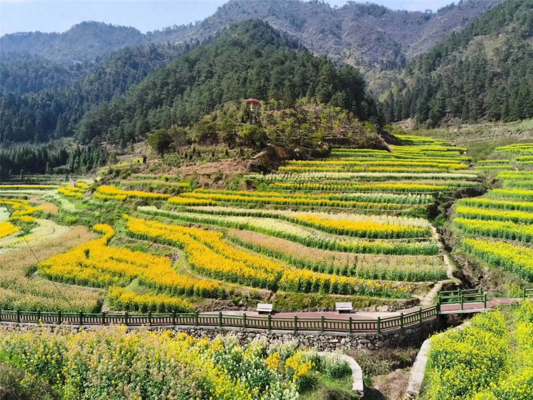 在西湖边，流淌“开化时间”(图4)