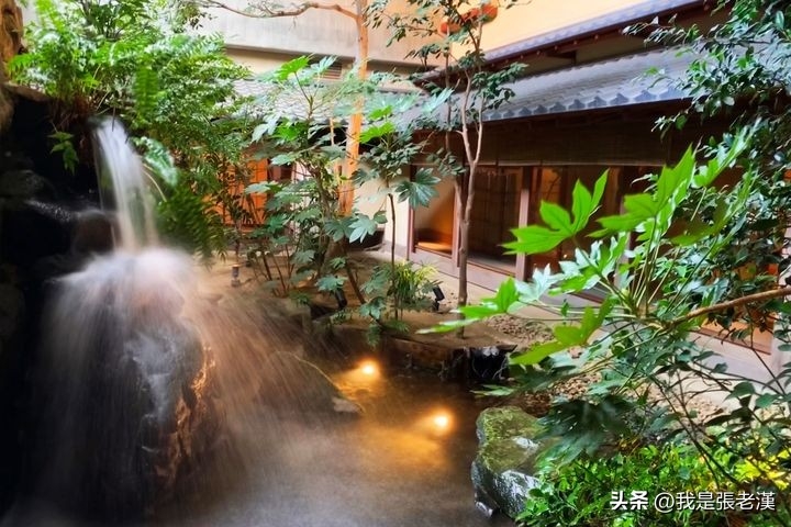 老汉食话-《漫谈日本料理》之一(图12)