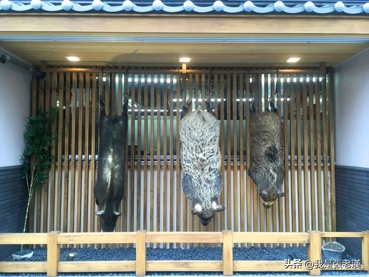 老汉食话-《漫谈日本料理》之一(图21)