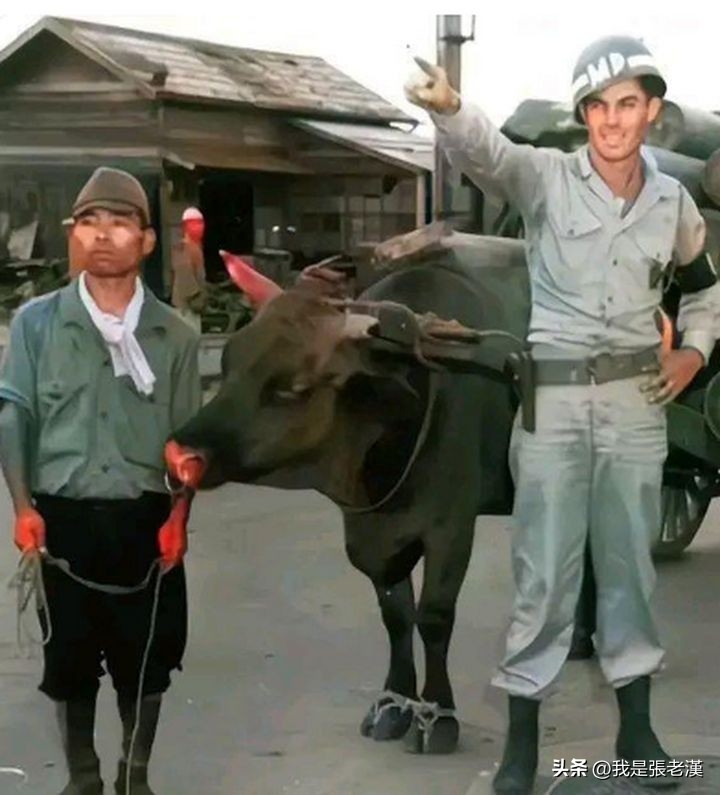 老汉食话-《漫谈日本料理》之一(图24)