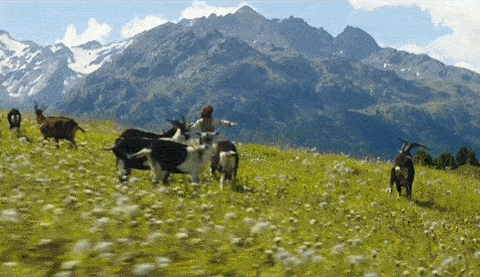 适合孩子国庆假期看的12部励志电影，看完再也不想玩手机了(图3)