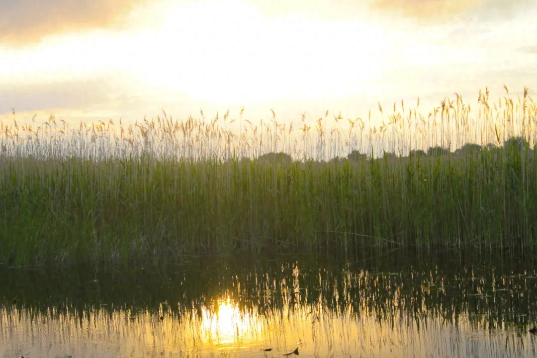 38首爱国诗词，全是经典之作，每一首都让人热血澎湃(图7)