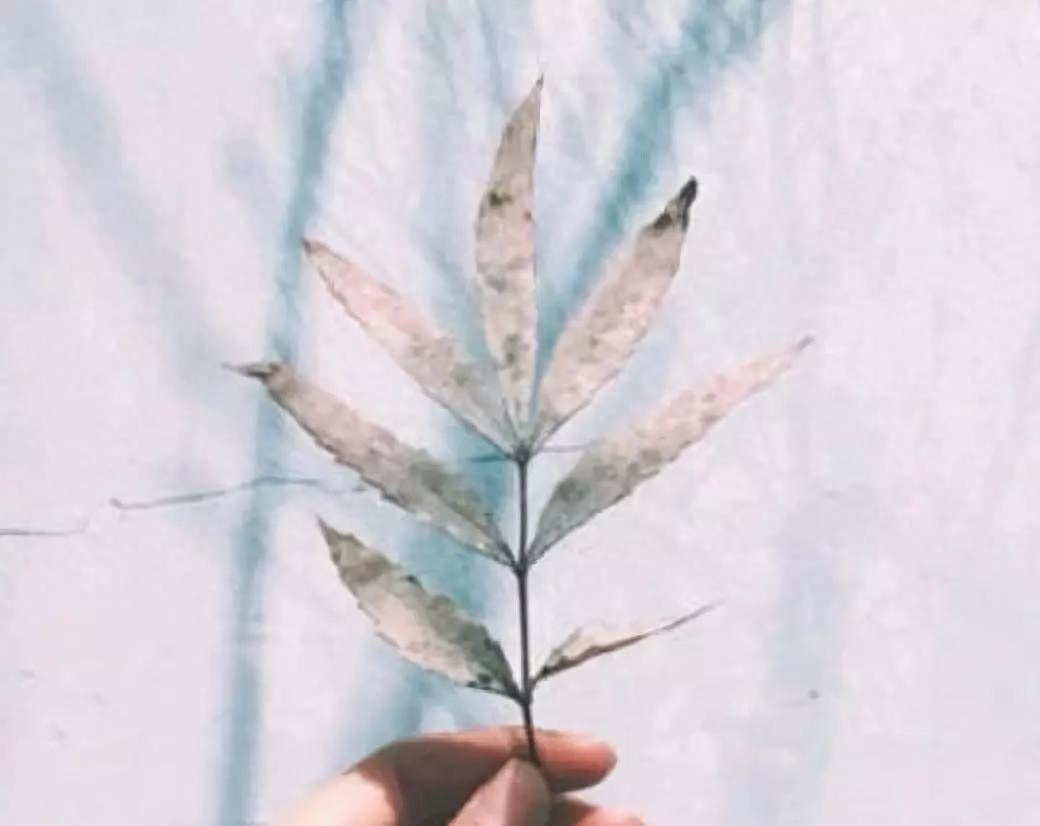 闺蜜一辈子的说说经典，致友情的经典语录，送给重要的朋友(图4)