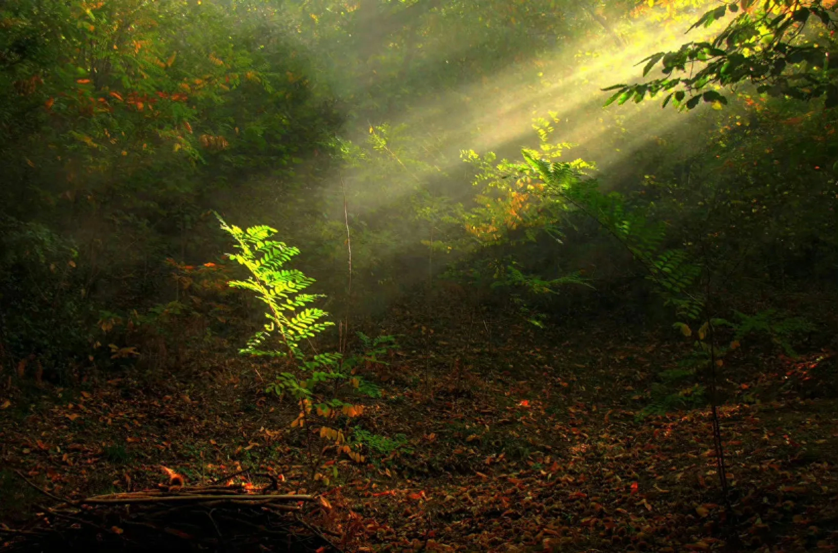 虽如此，我依然热爱自己，接受自己不完美的一面(图1)