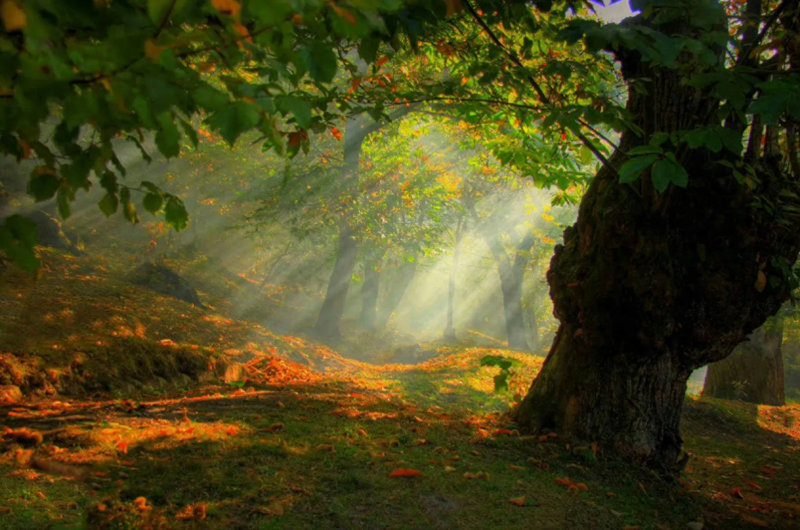 虽如此，我依然热爱自己，接受自己不完美的一面(图2)