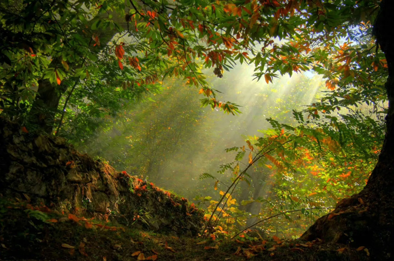 虽如此，我依然热爱自己，接受自己不完美的一面(图3)