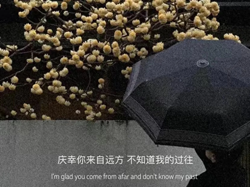 文案：愿每一岁都奔跑在自己的热爱里(图9)