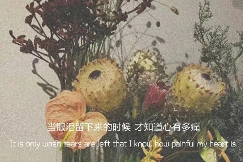 文案：愿每一岁都奔跑在自己的热爱里(图13)