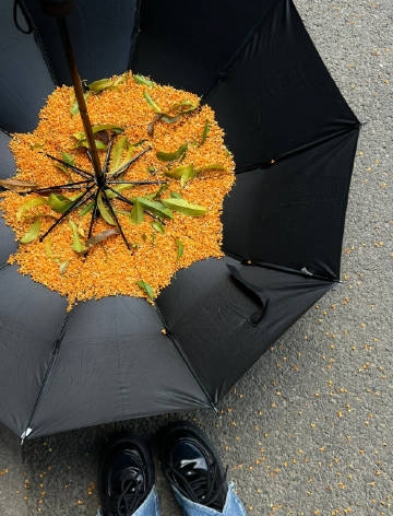 八月发朋友圈委屈伤心的句子,99%的人都看哭了!(图2) 八月发朋友圈委屈伤心的句子,99%的人都看哭了!(图2)