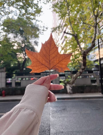 八月发朋友圈委屈伤心的句子,99%的人都看哭了!(图3) 八月发朋友圈委屈伤心的句子,99%的人都看哭了!(图3)