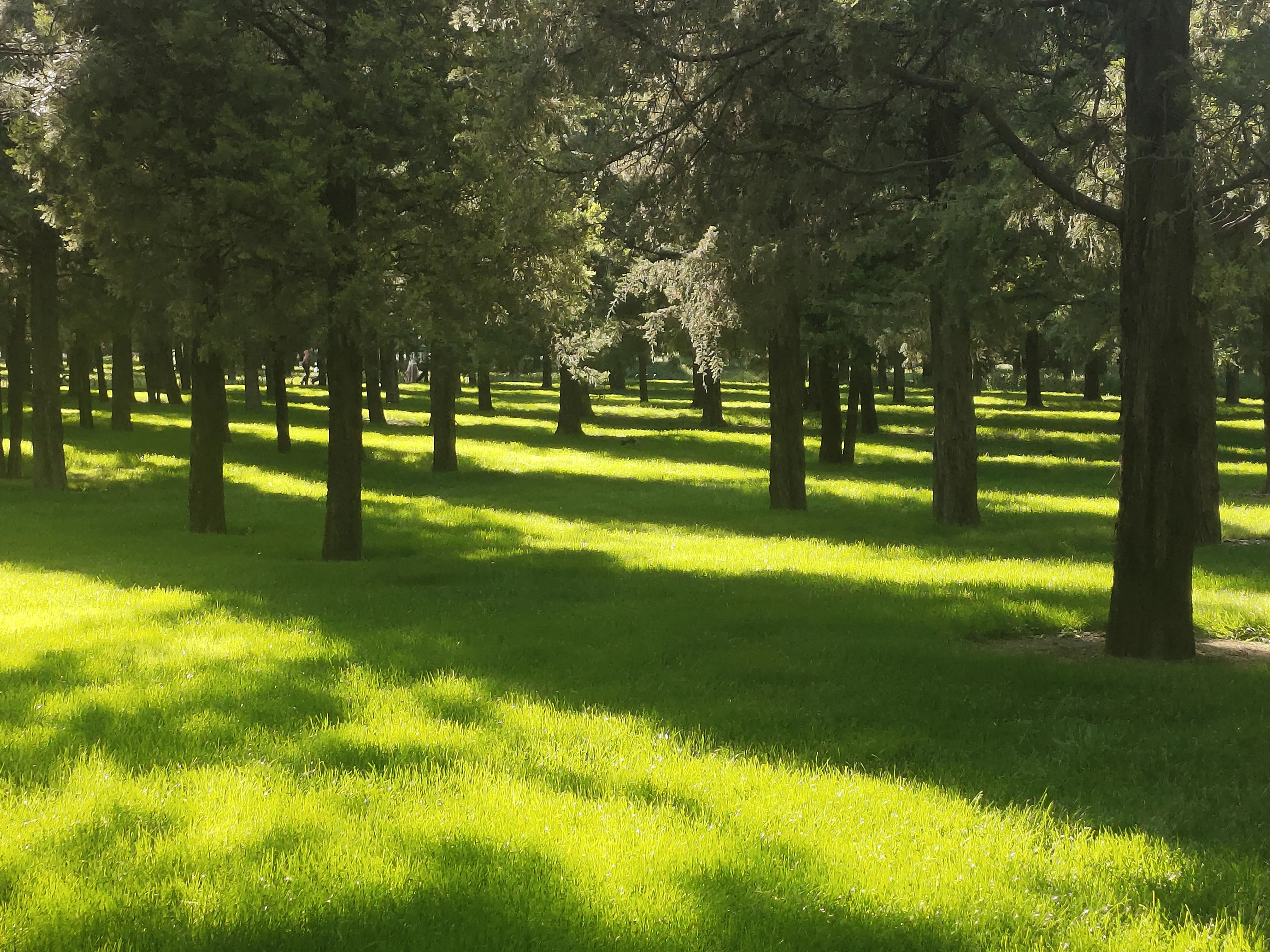 相逢已是上上签，珍惜每一个相遇(图1)