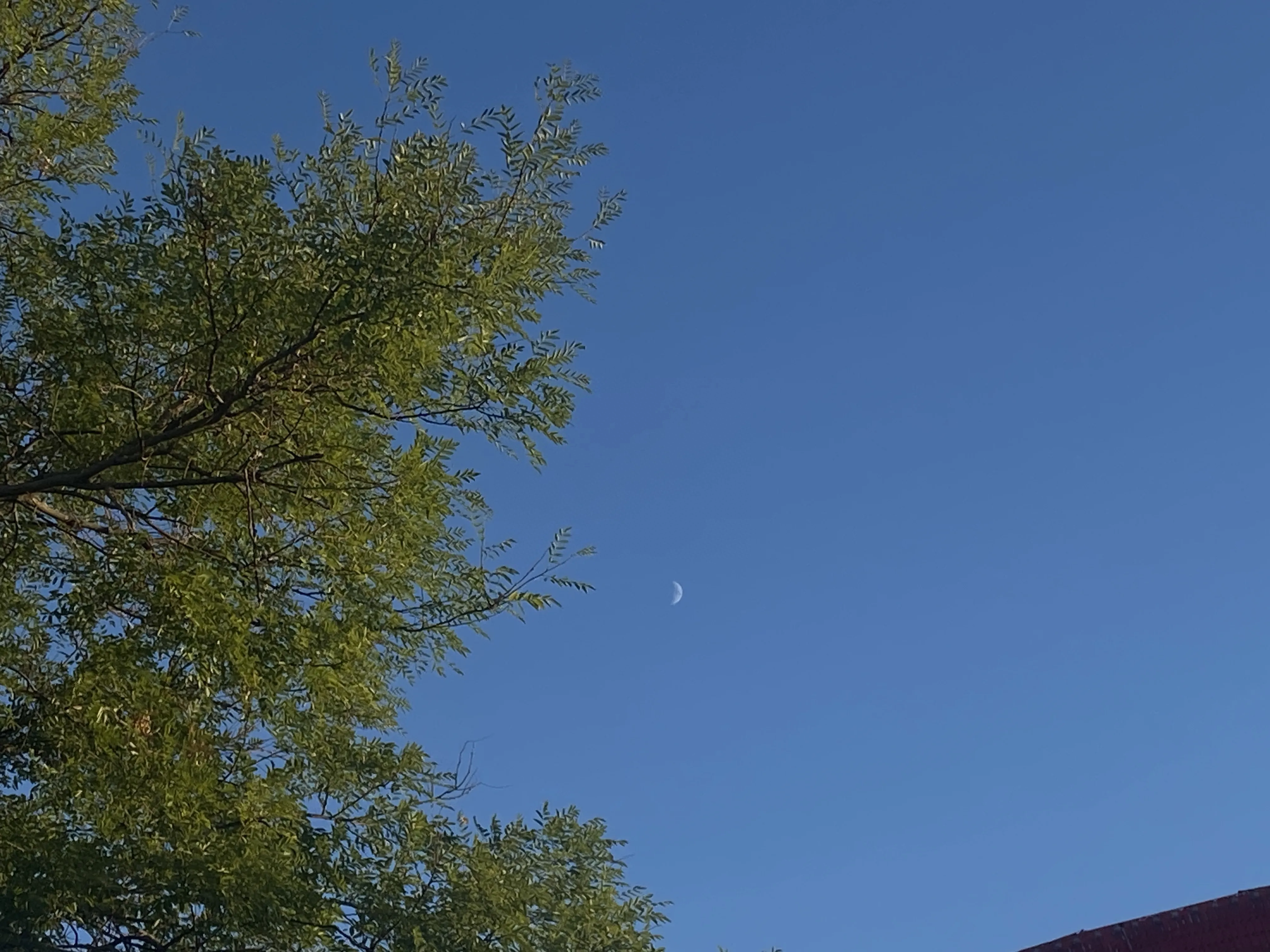 相逢已是上上签，珍惜每一个相遇(图2)