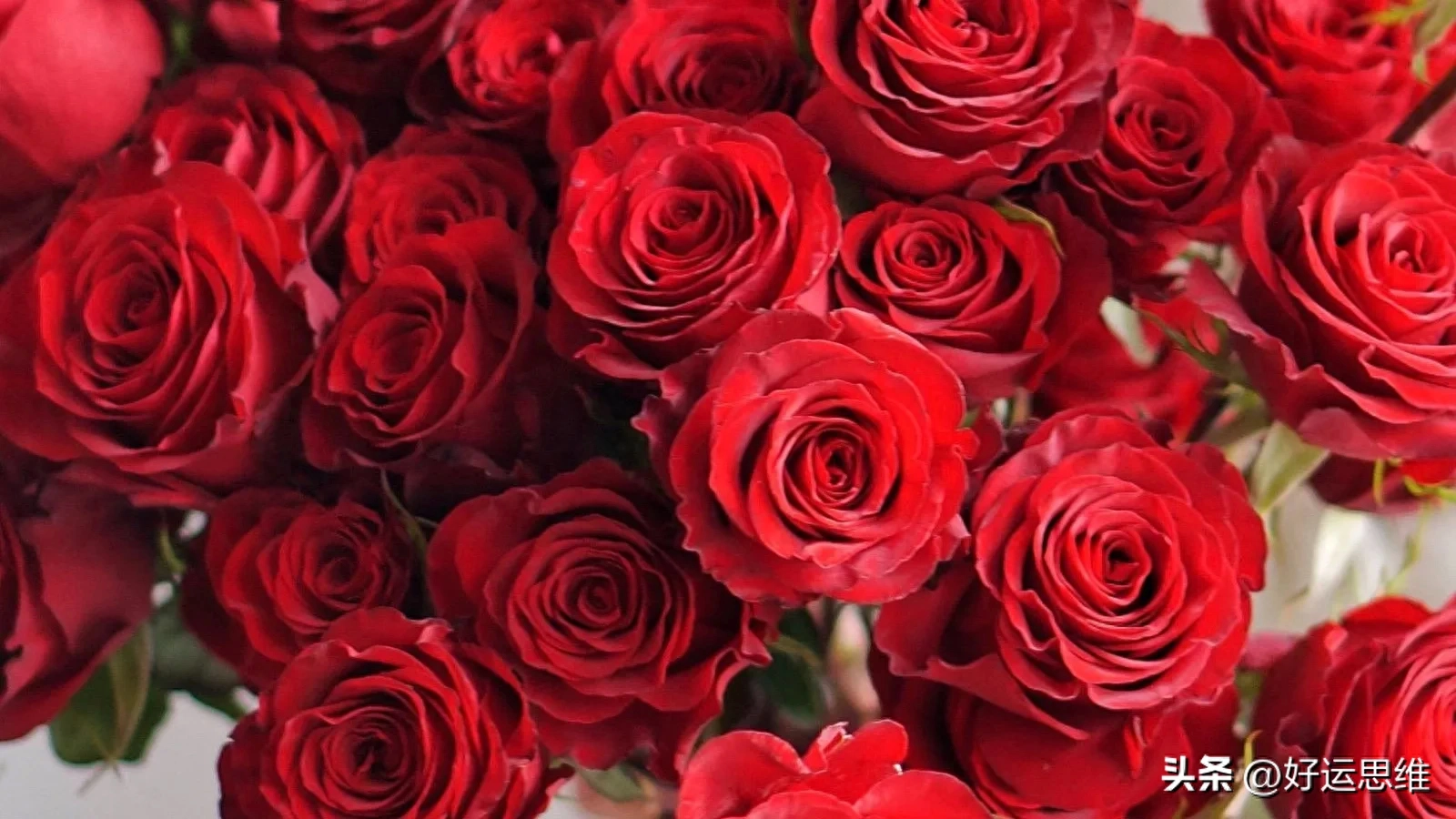 感谢缘分让我们相遇，一世情深，只为你。(图1)