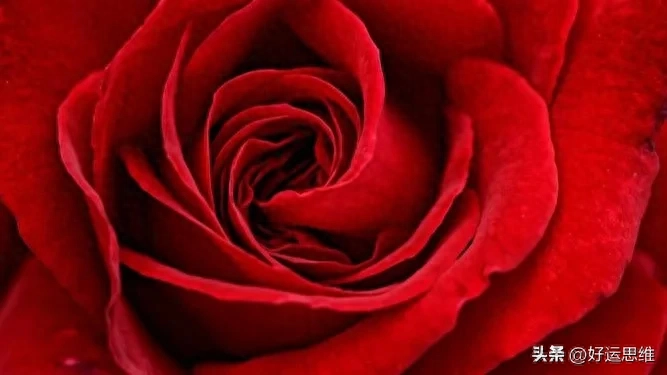 感谢缘分让我们相遇，一世情深，只为你。(图3)