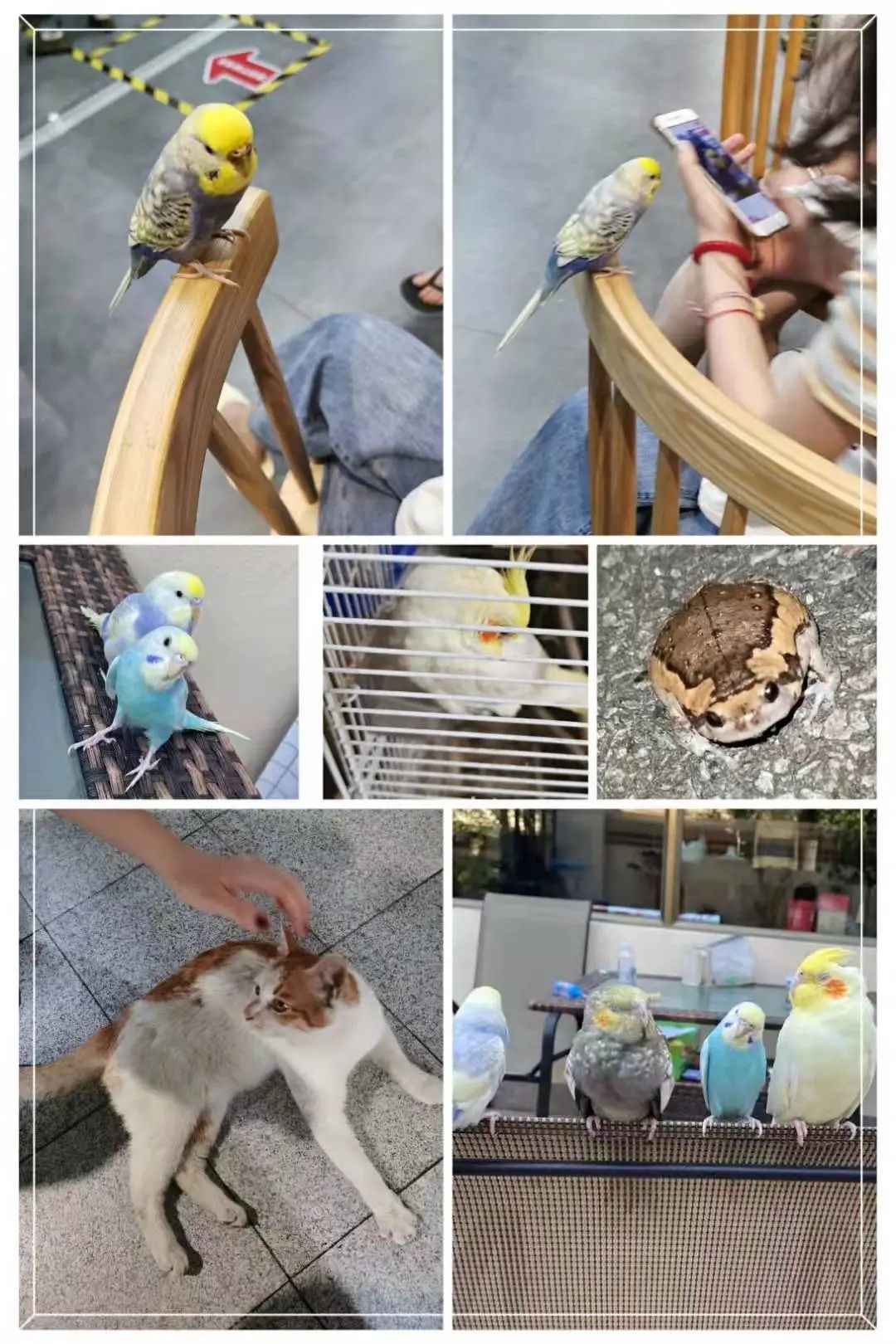 为什么广州美术学院满满的“铜臭味”？因为它真的很强(图3)