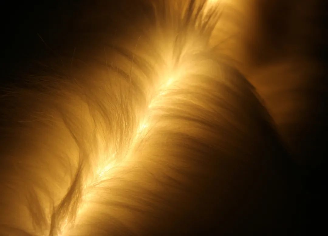 为什么广州美术学院满满的“铜臭味”？因为它真的很强(图50)