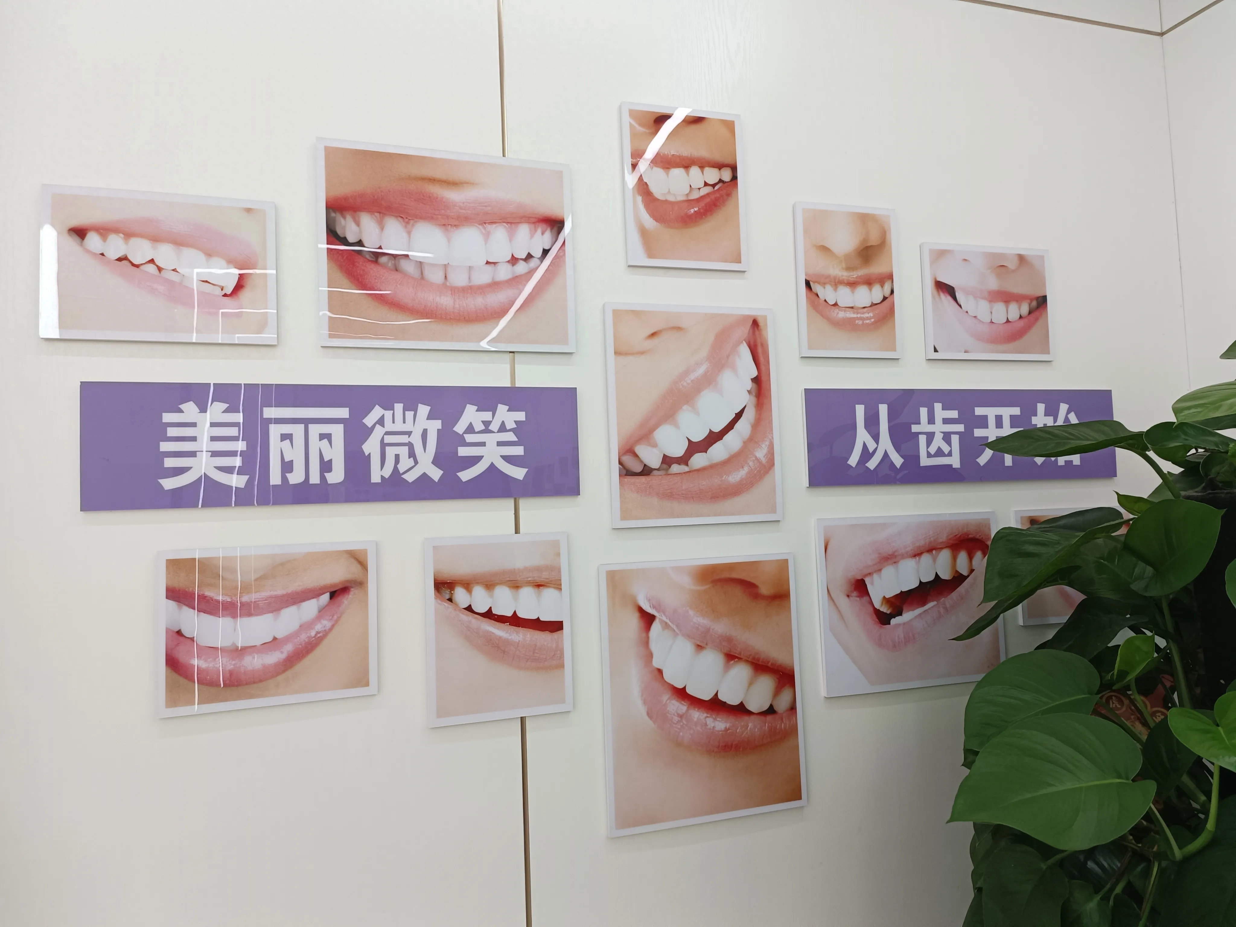 除了努力就是加油(图2)