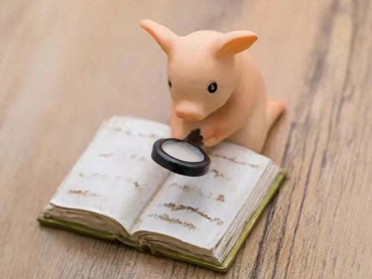 除了努力就是加油(图3)