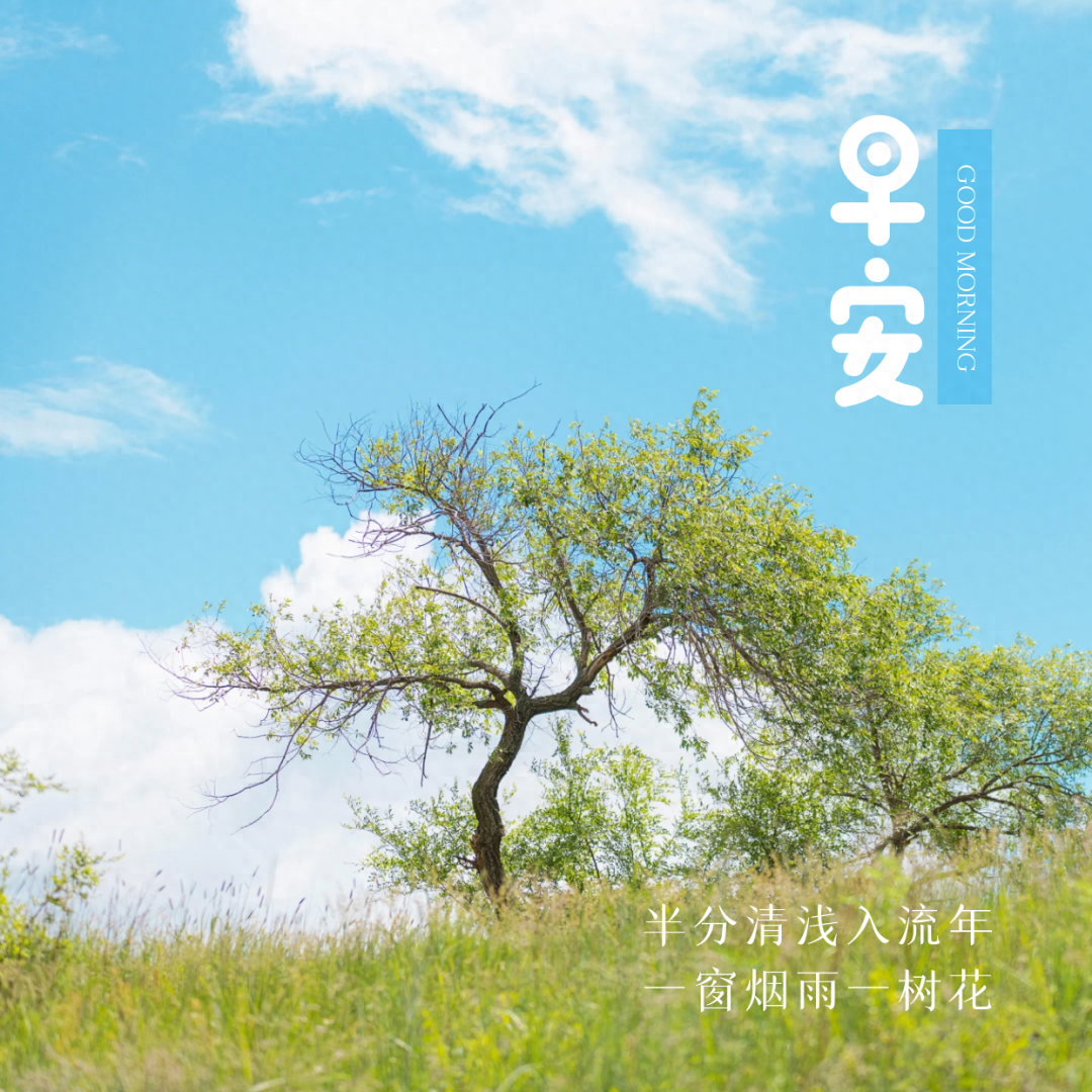 「2023.08.27」早安心语，正能量充满阳光的语录句子，励志问候图(图19)