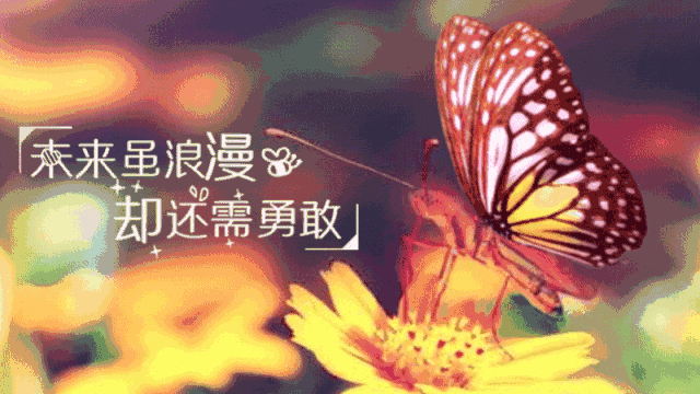 「2023.08.27」早安心语，正能量充满阳光的语录句子，励志问候图(图27)