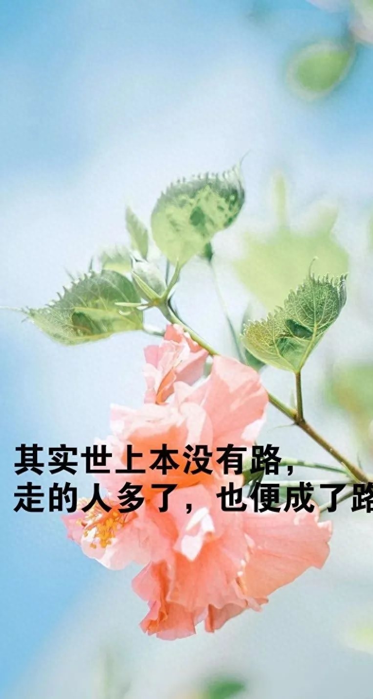 「2023.08.27」早安心语，正能量充满阳光的语录句子，励志问候图(图31)