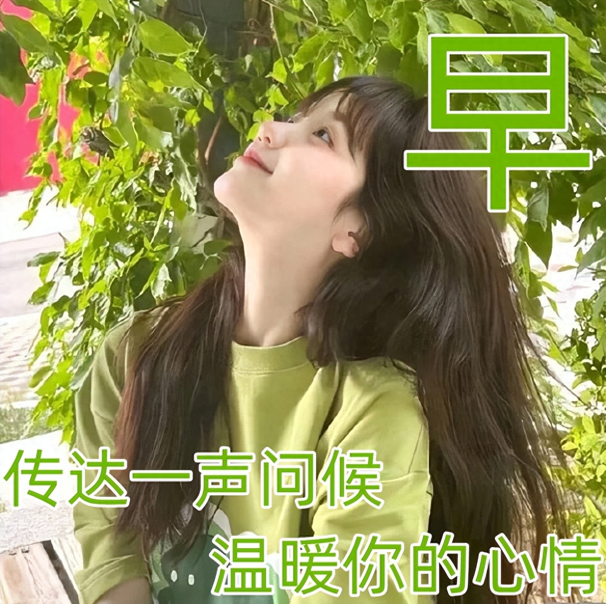 「2023.08.27」早安心语，正能量充满阳光的语录句子，励志问候图(图33)