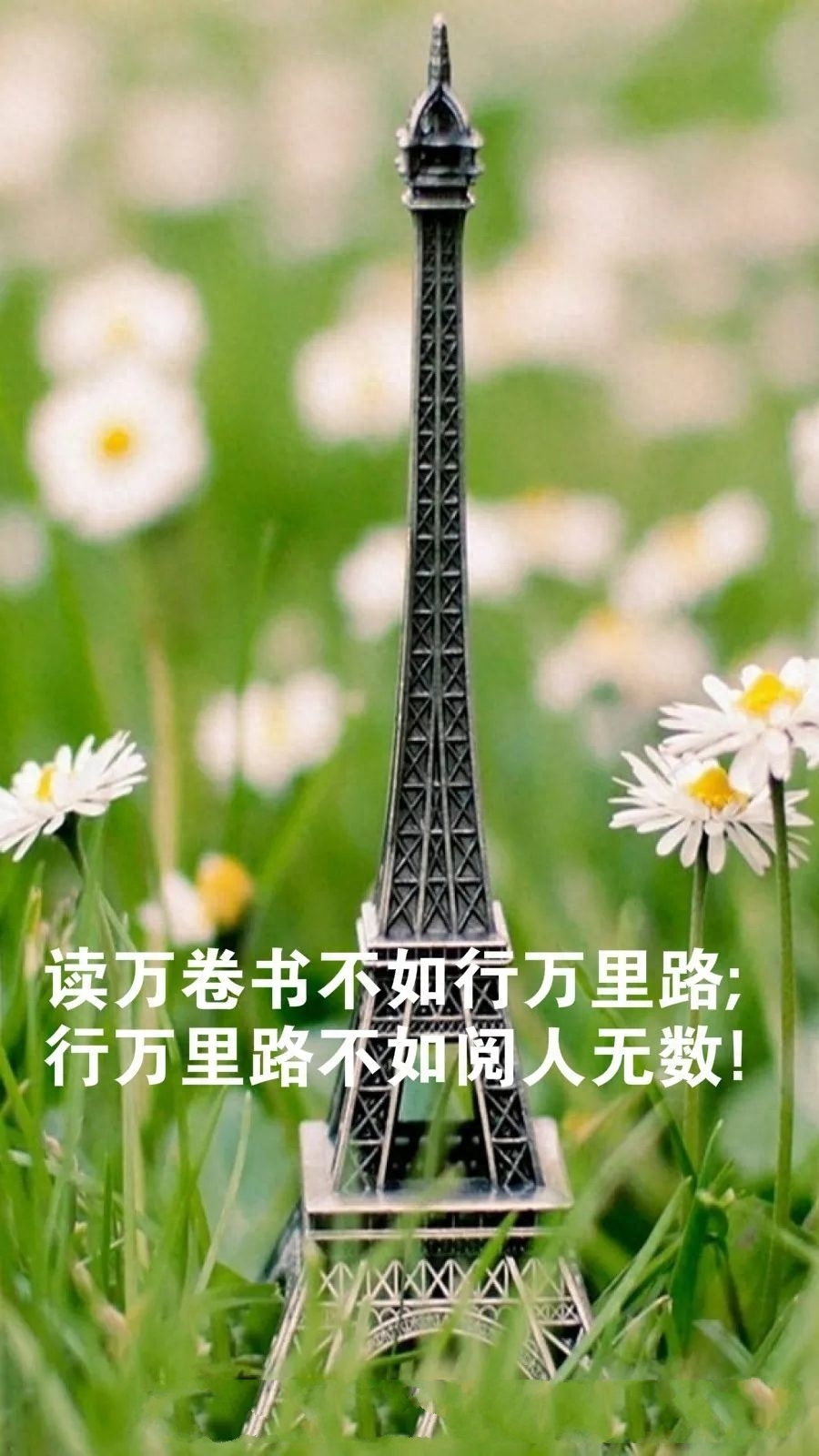 「2023.08.27」早安心语，正能量充满阳光的语录句子，励志问候图(图35)