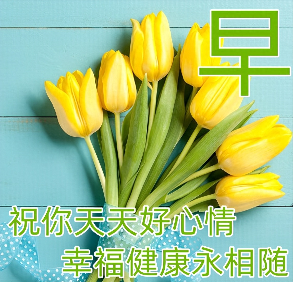 「2023.08.27」早安心语，正能量充满阳光的语录句子，励志问候图(图37)