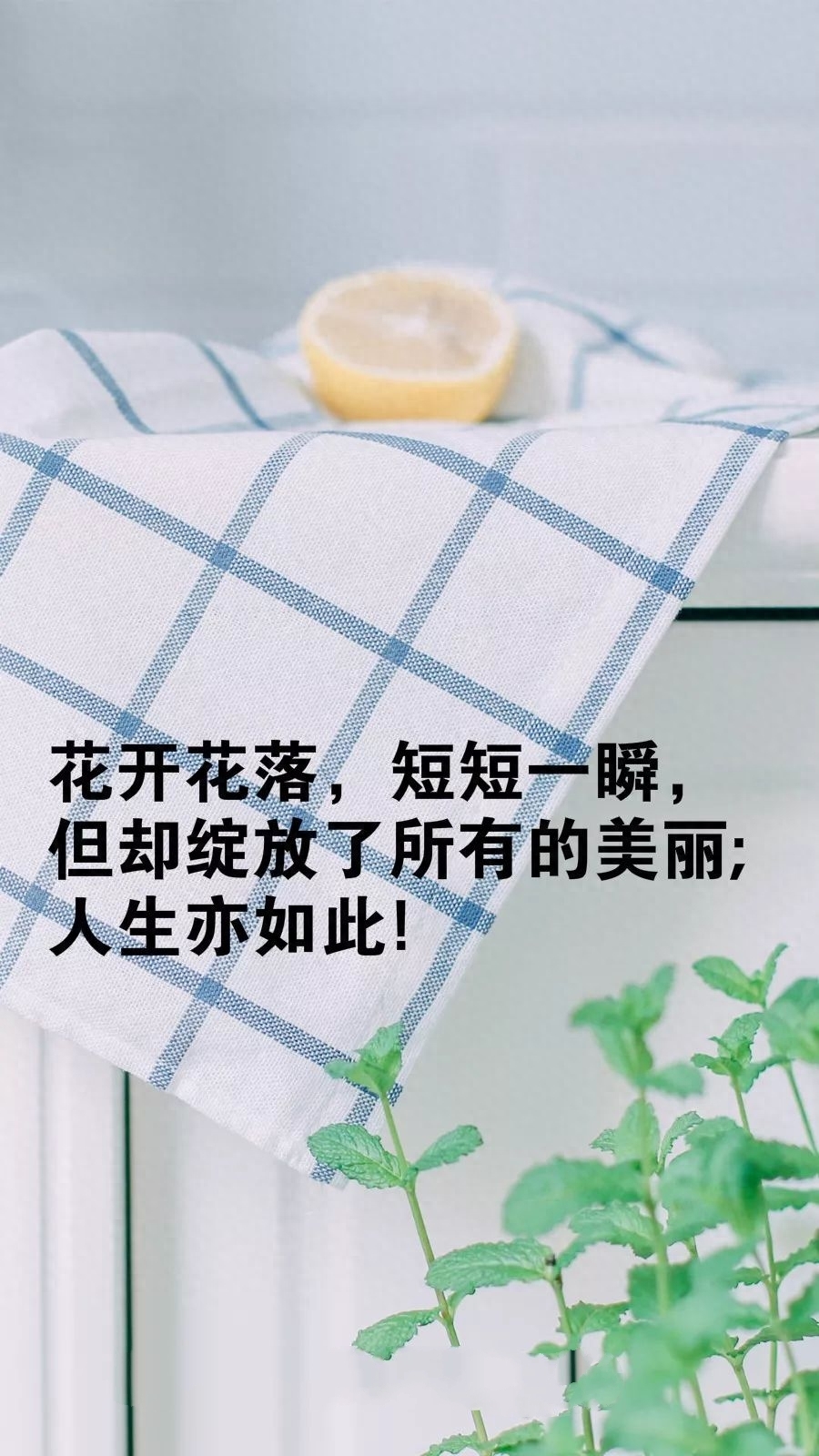 「2023.08.27」早安心语，正能量充满阳光的语录句子，励志问候图(图39)