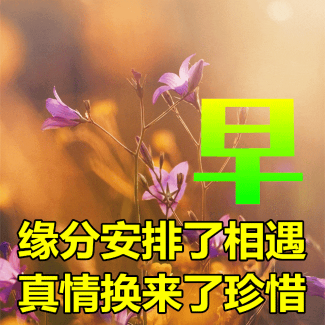 「2023.08.27」早安心语，正能量充满阳光的语录句子，励志问候图(图47)