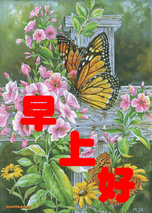 「2023.08.27」早安心语，正能量充满阳光的语录句子，励志问候图(图57)