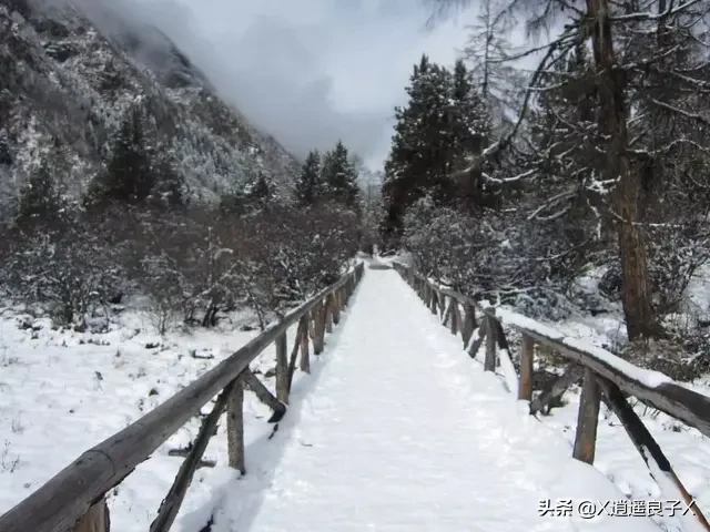 有缘的人才能聚首；真感情可守不可丢，有爱的心永不说分手(图3)