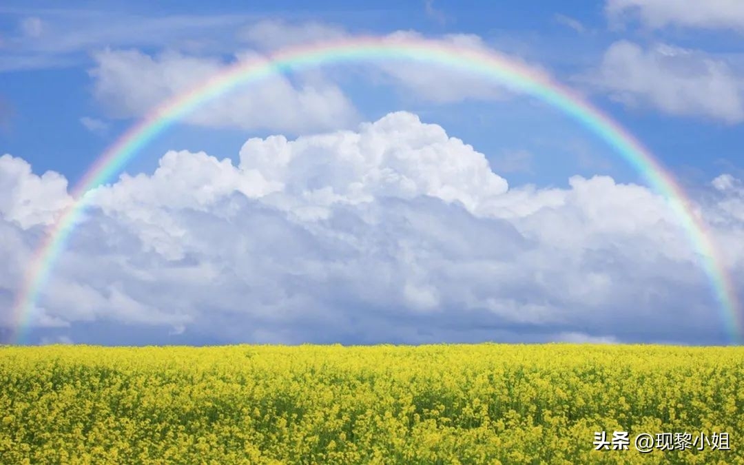 干净温柔而有力量的高级短句(图3)